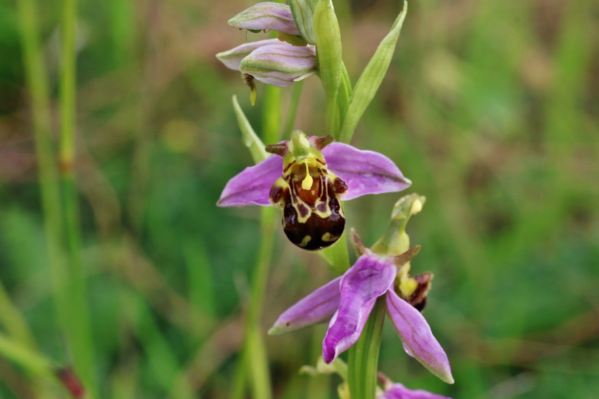 IMG-2016-06-13-00019587p_Bildgr��e �ndern