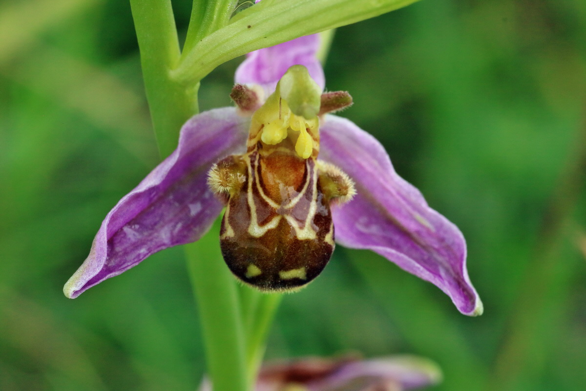 IMG-2016-06-13-00019597p_Bildgr��e �ndern