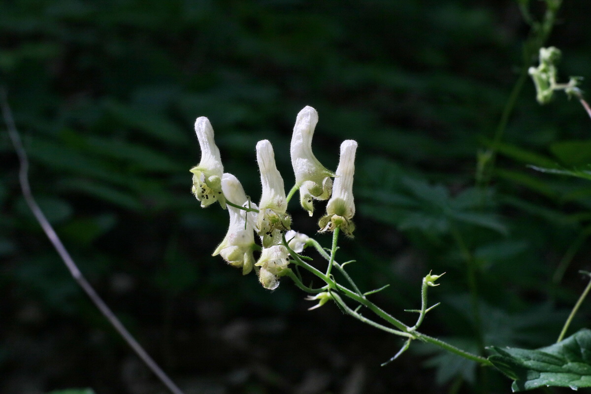 IMG-2016-06-18-00019610p_Bildgr��e �ndern