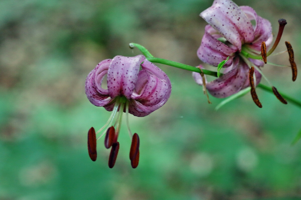 IMG-2016-06-18-00019620p_Bildgr��e �ndern