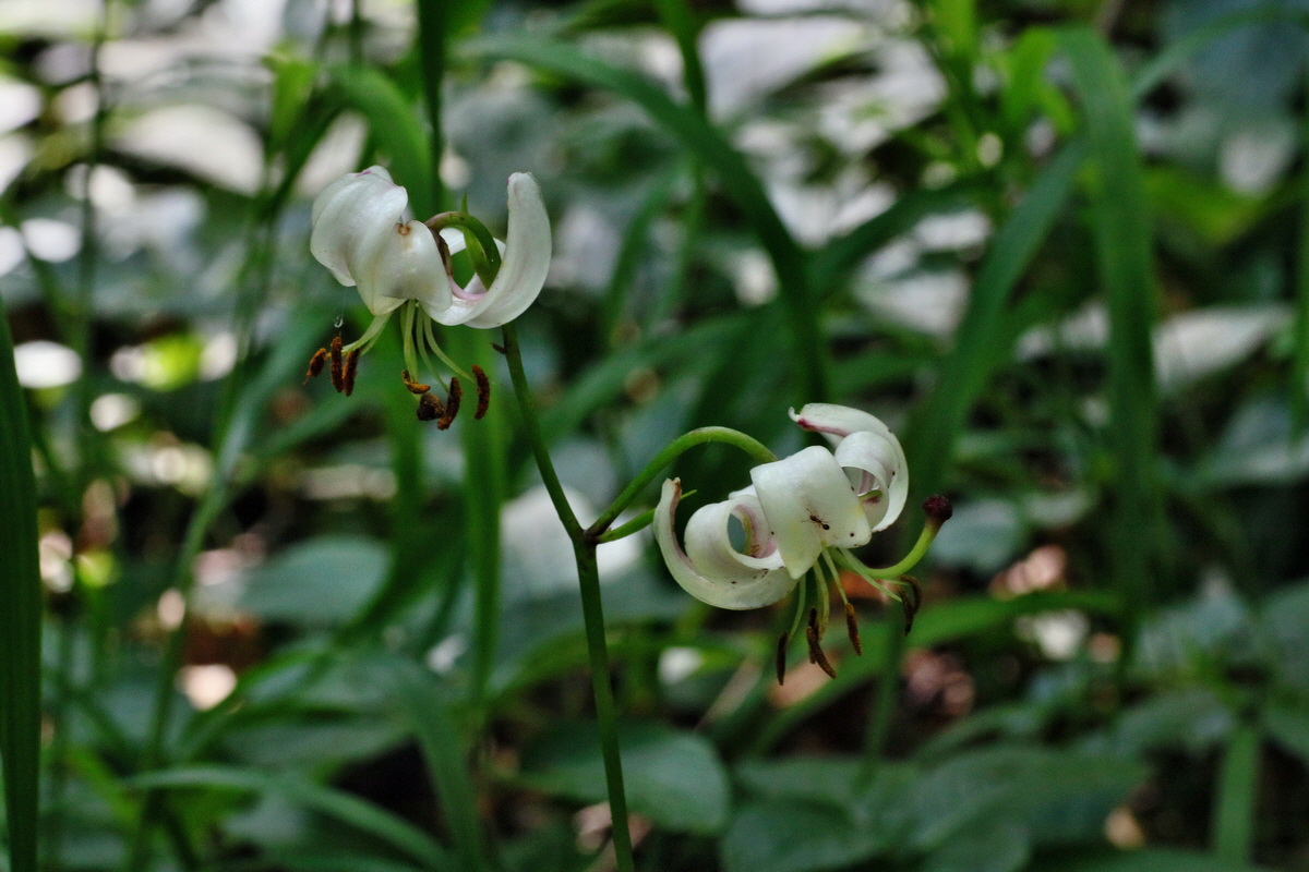 IMG-2016-06-18-00019623p_Bildgr��e �ndern