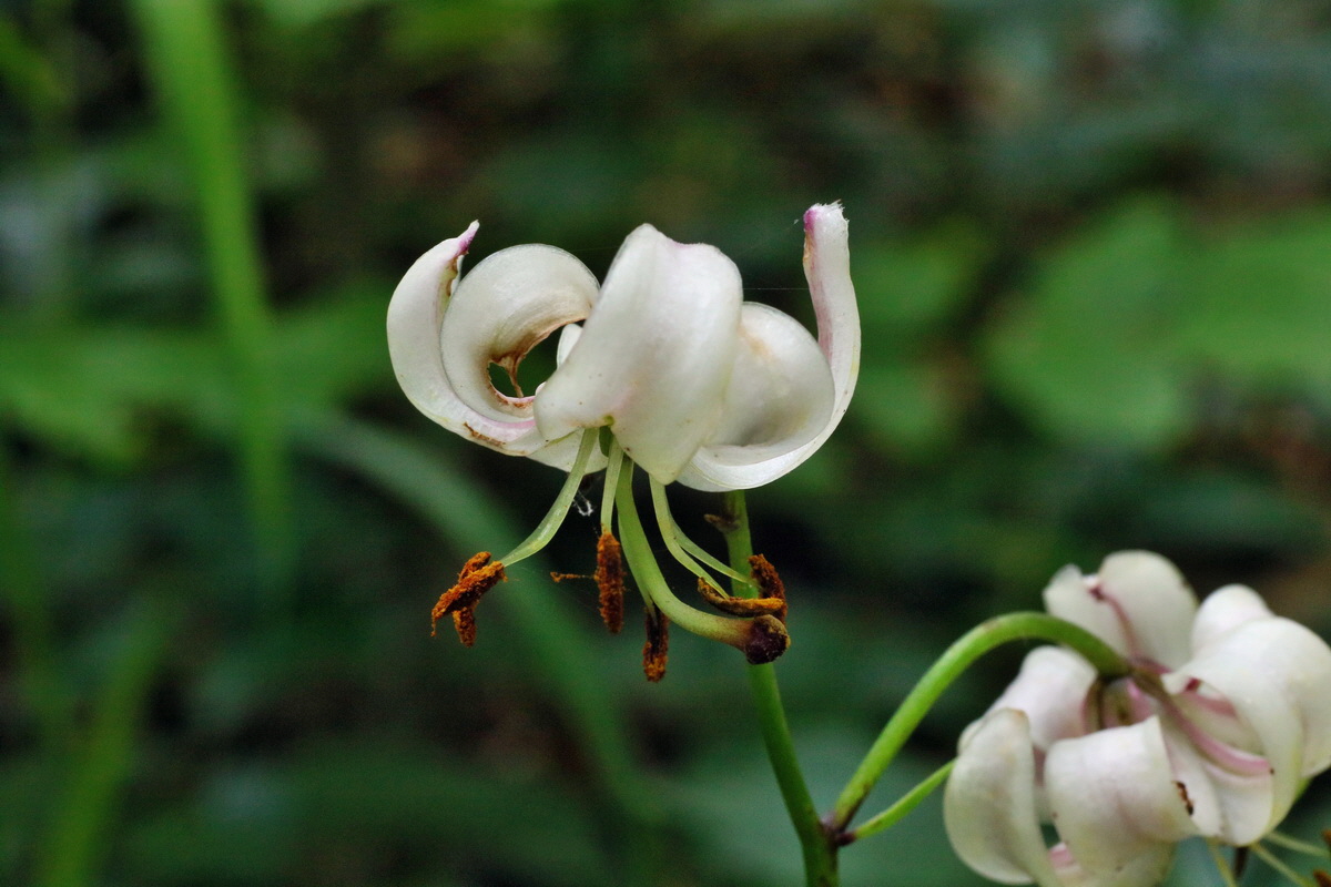 IMG-2016-06-18-00019625p_Bildgr��e �ndern