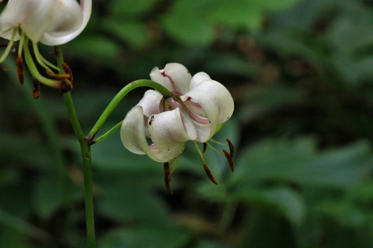 IMG-2016-06-18-00019628p_Bildgr��e �ndern