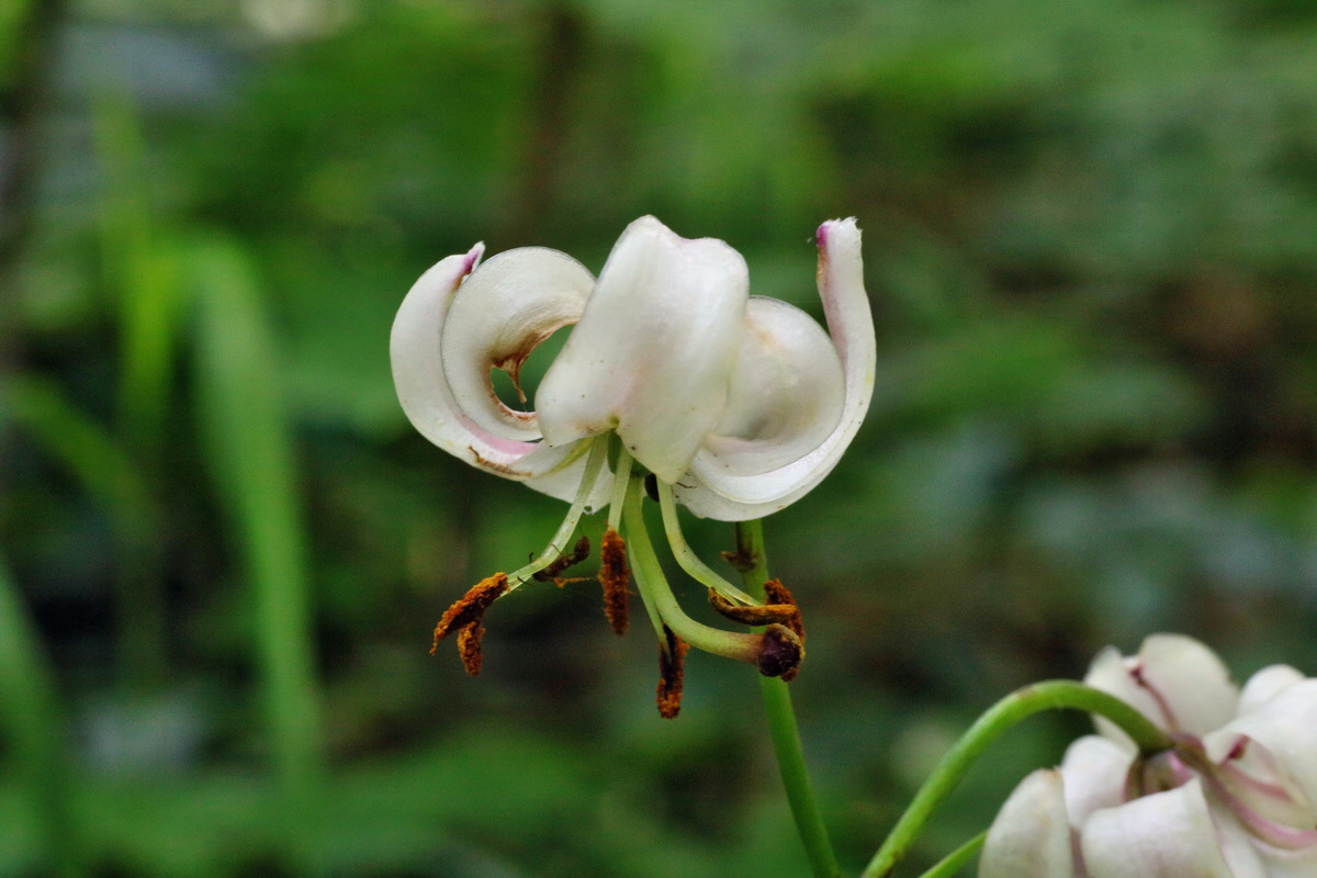 IMG-2016-06-18-00019634p_Bildgr��e �ndern