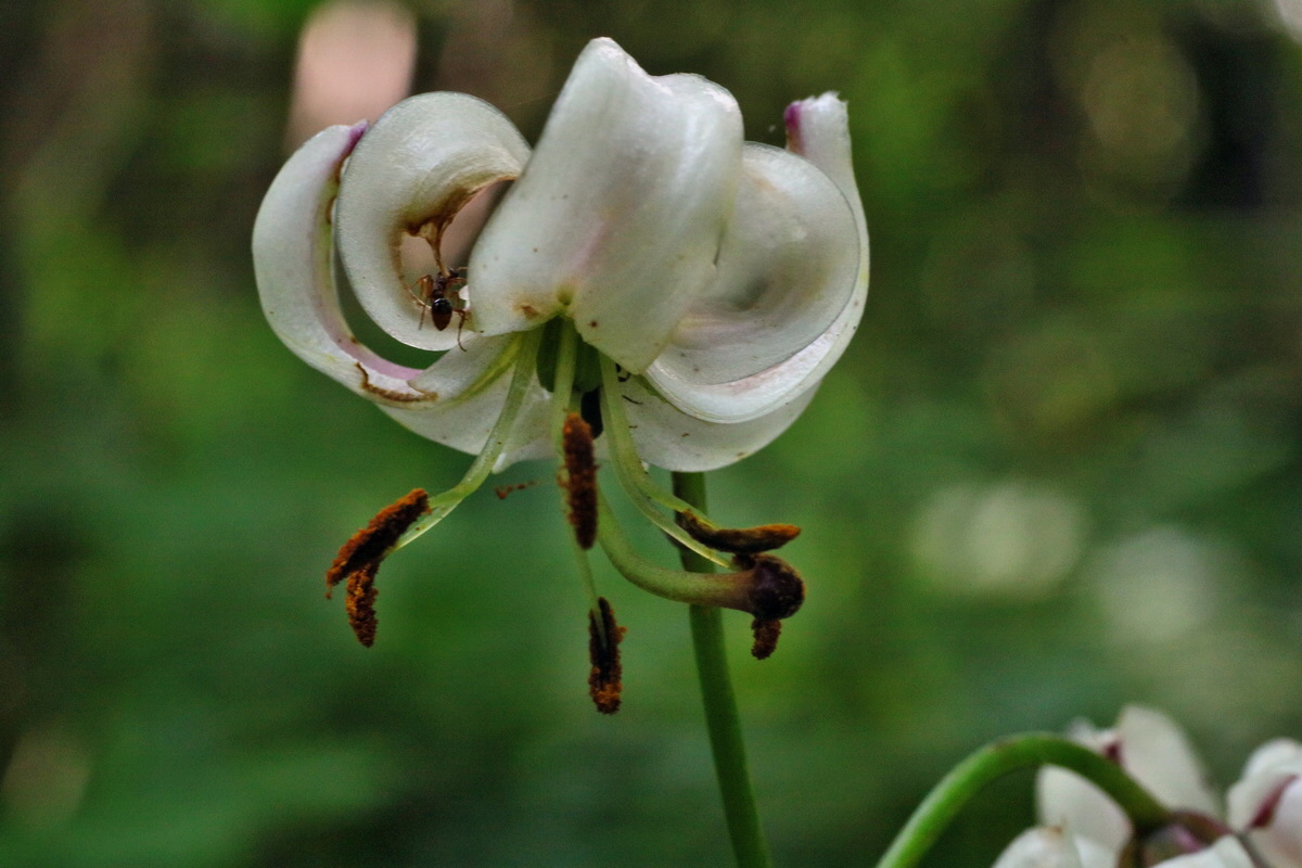 IMG-2016-06-18-00019636p_Bildgr��e �ndern