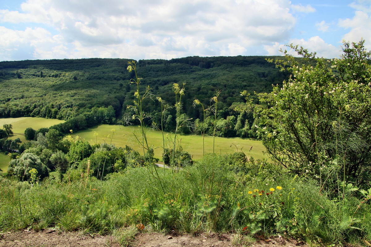 IMG-2016-06-18-00019649p_Bildgr��e �ndern