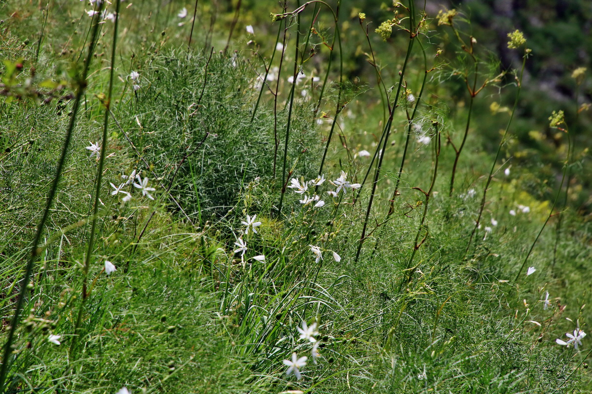 IMG-2016-06-18-00019656p_Bildgr��e �ndern