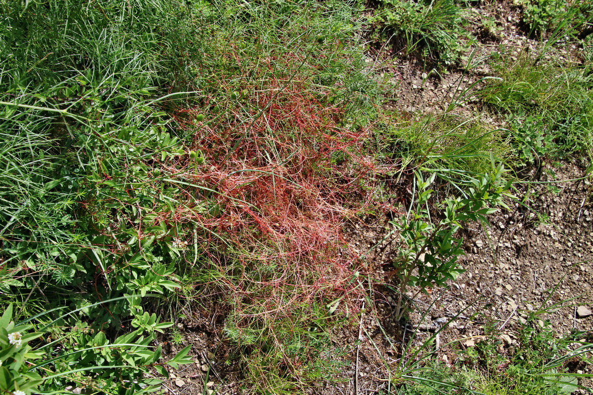 IMG-2016-06-18-00019660p_Bildgr��e �ndern