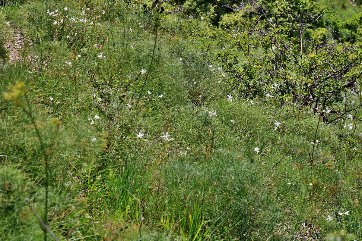 IMG-2016-06-18-00019667p_Bildgr��e �ndern