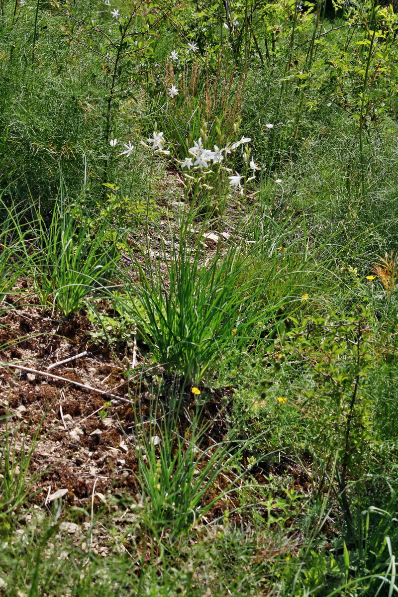 IMG-2016-06-18-00019670p_Bildgr��e �ndern