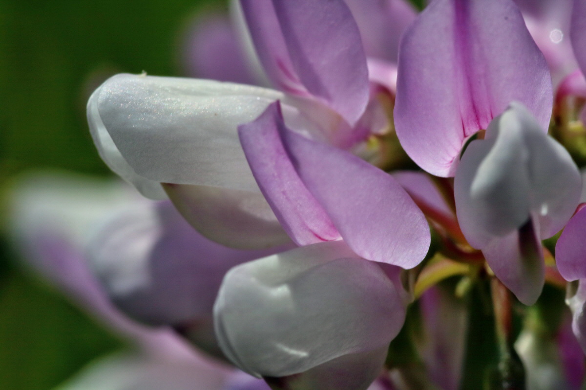 IMG-2016-06-18-00019699p_Bildgr��e �ndern