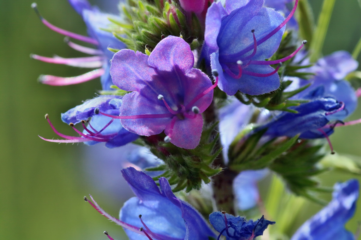 IMG-2016-06-18-00019722p_Bildgr��e �ndern