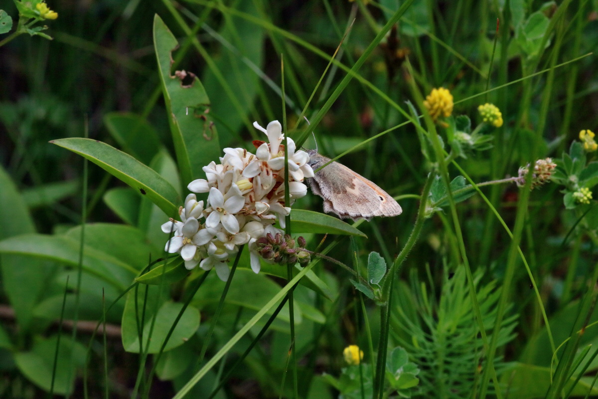 IMG-2016-06-18-00019765p_Bildgr��e �ndern