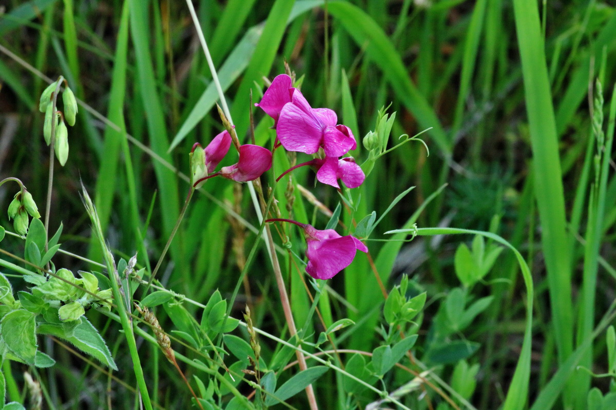 IMG-2016-06-18-00019774p_Bildgr��e �ndern