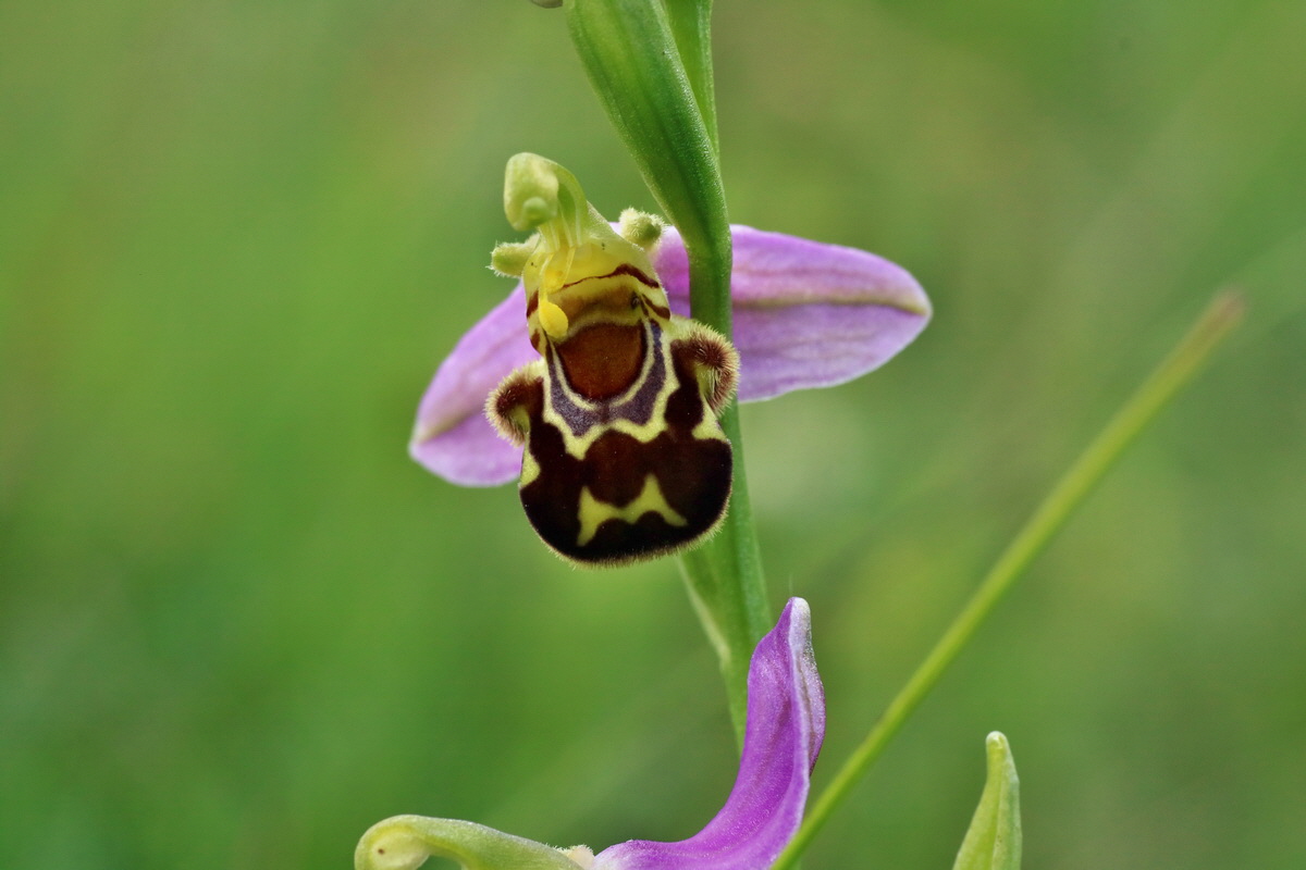 IMG-2016-06-18-00019781p_Bildgr��e �ndern