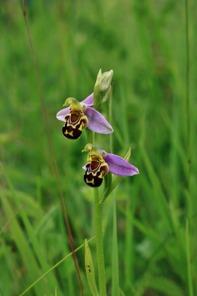 IMG-2016-06-18-00019783p_Bildgr��e �ndern