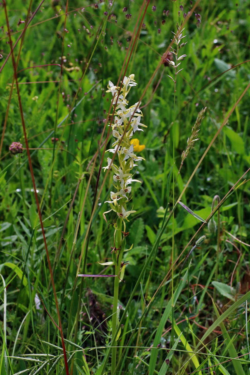 IMG-2016-06-18-00019847p_Bildgr��e �ndern