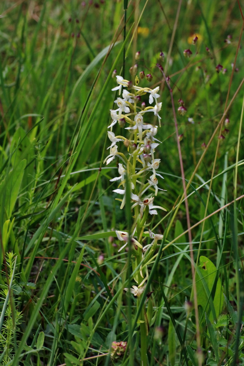 IMG-2016-06-18-00019851p_Bildgr��e �ndern