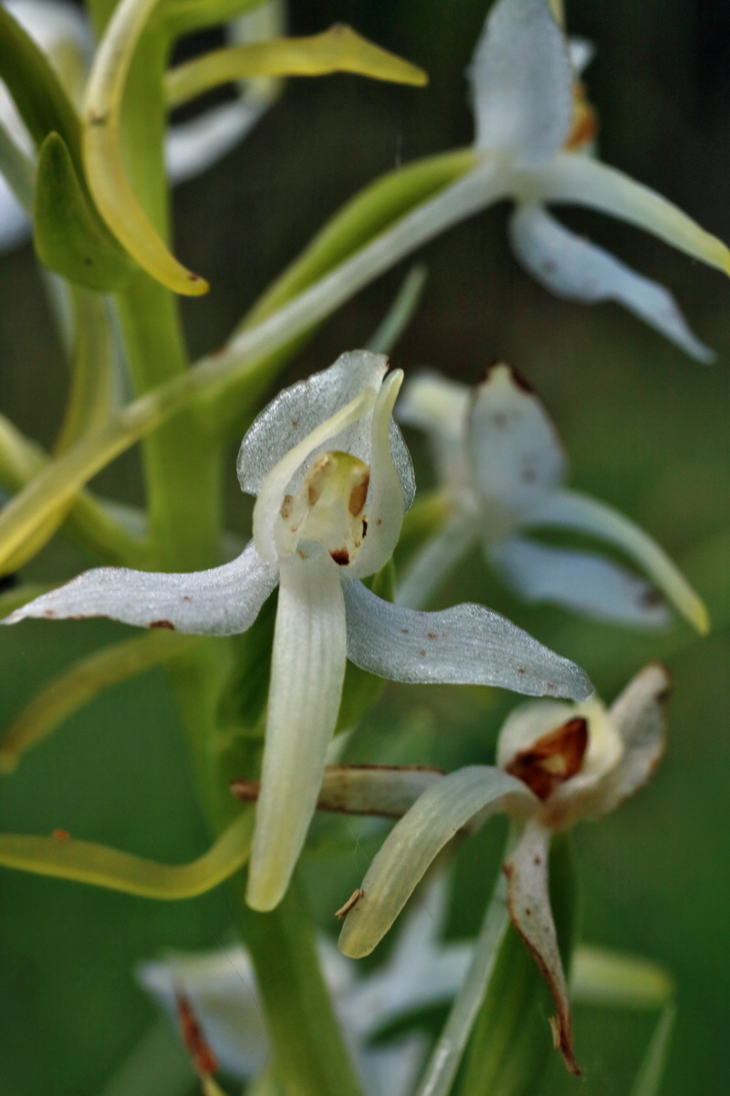 IMG-2016-06-18-00019852p_Bildgr��e �ndern