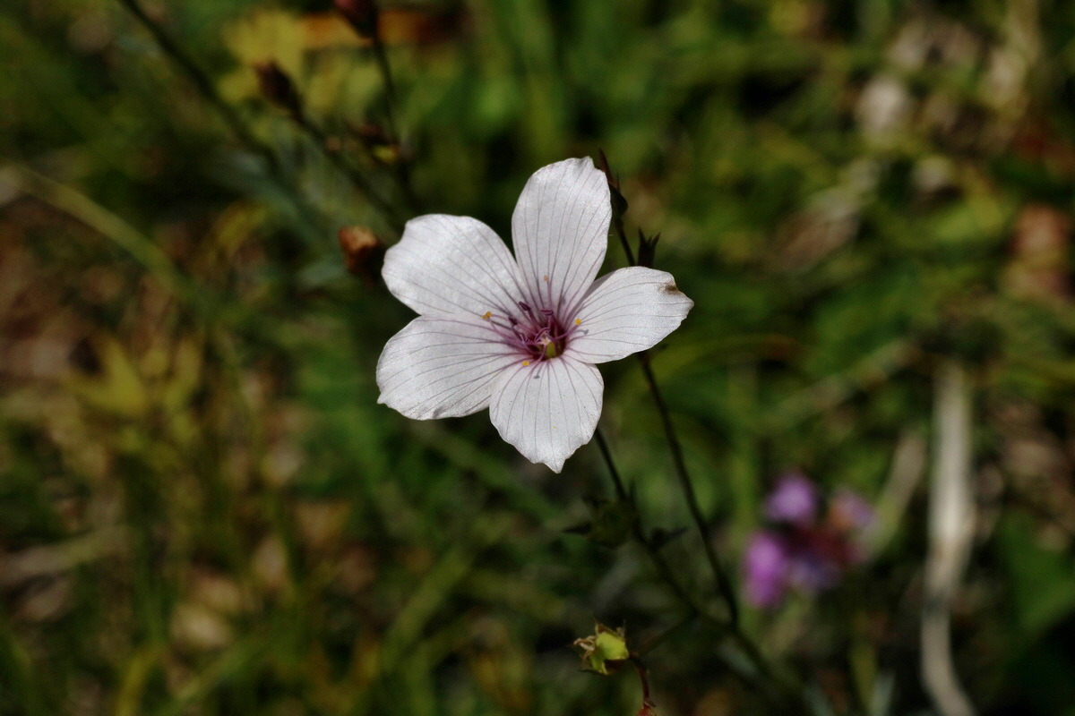 IMG-2016-06-18-00019878p_Bildgr��e �ndern