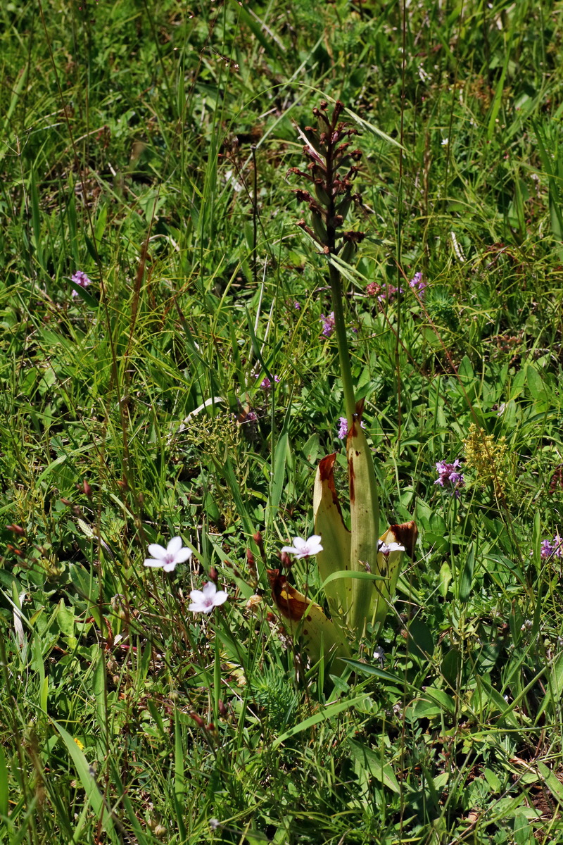 IMG-2016-06-18-00019880p_Bildgr��e �ndern