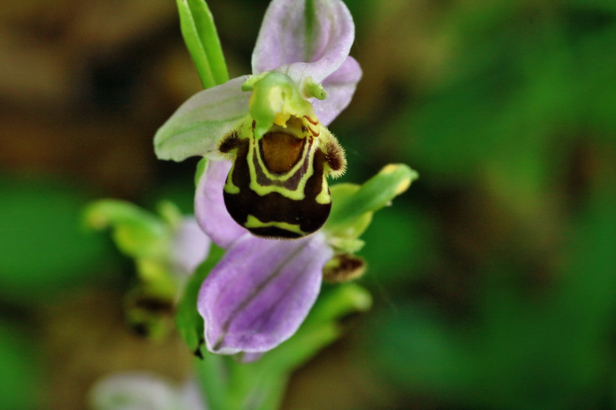 IMG-2016-06-18-00019887p_Bildgr��e �ndern