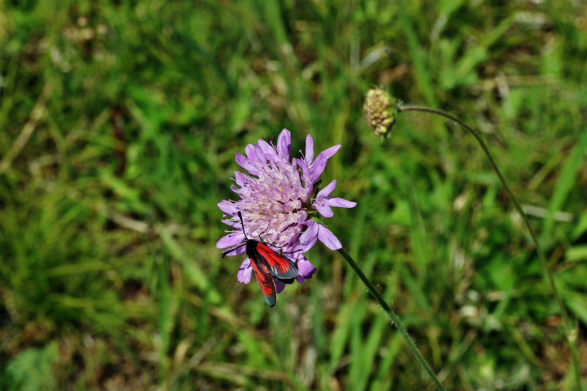 IMG-2016-06-18-00019890p_Bildgr��e �ndern