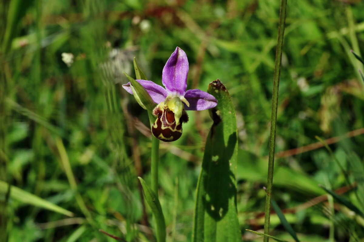 IMG-2016-06-18-00019902p_Bildgr��e �ndern