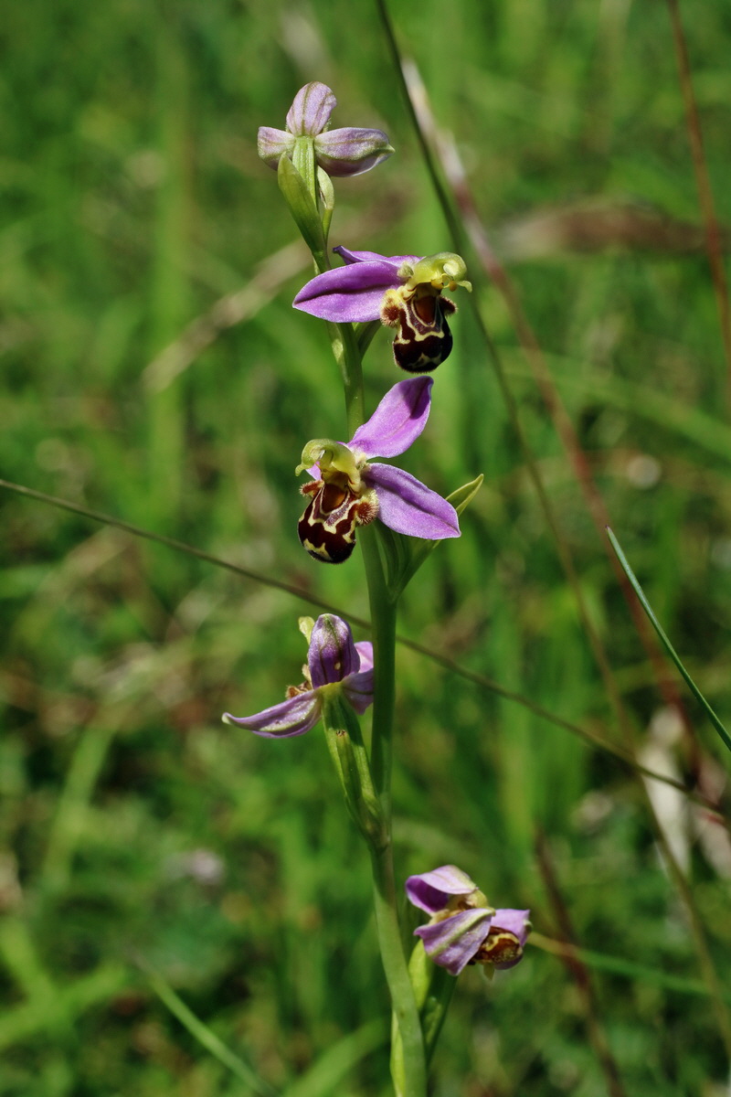 IMG-2016-06-18-00019905p_Bildgr��e �ndern