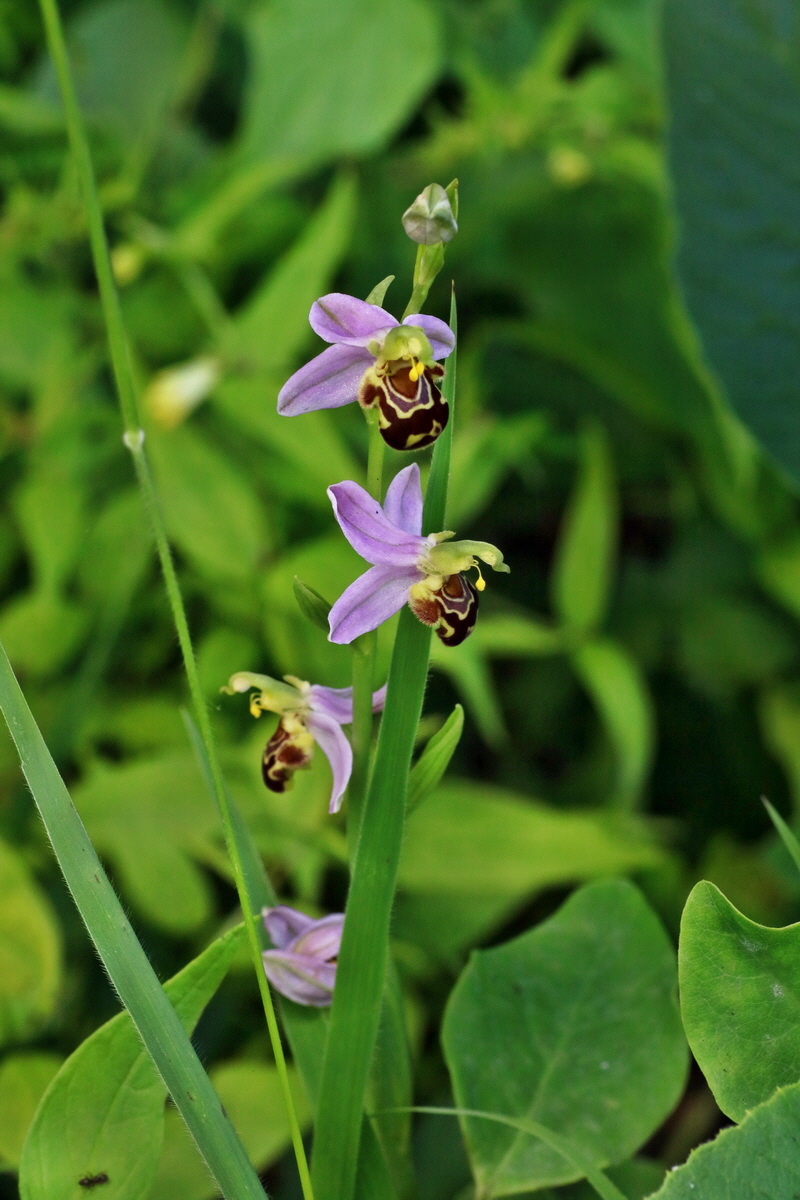 IMG-2016-06-18-00019908p_Bildgr��e �ndern