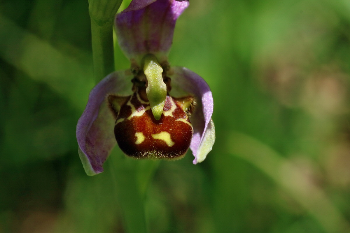 IMG-2016-06-18-00019916p_Bildgr��e �ndern