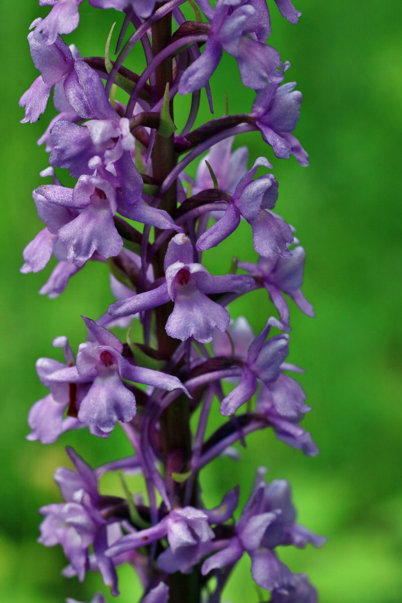 IMG-2016-06-18-00019923p_Bildgr��e �ndern