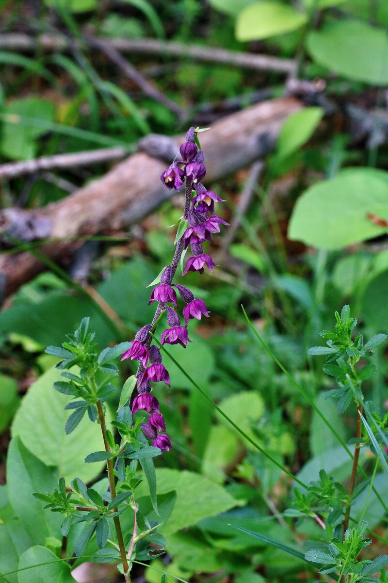 IMG-2016-06-18-00019928p_Bildgr��e �ndern