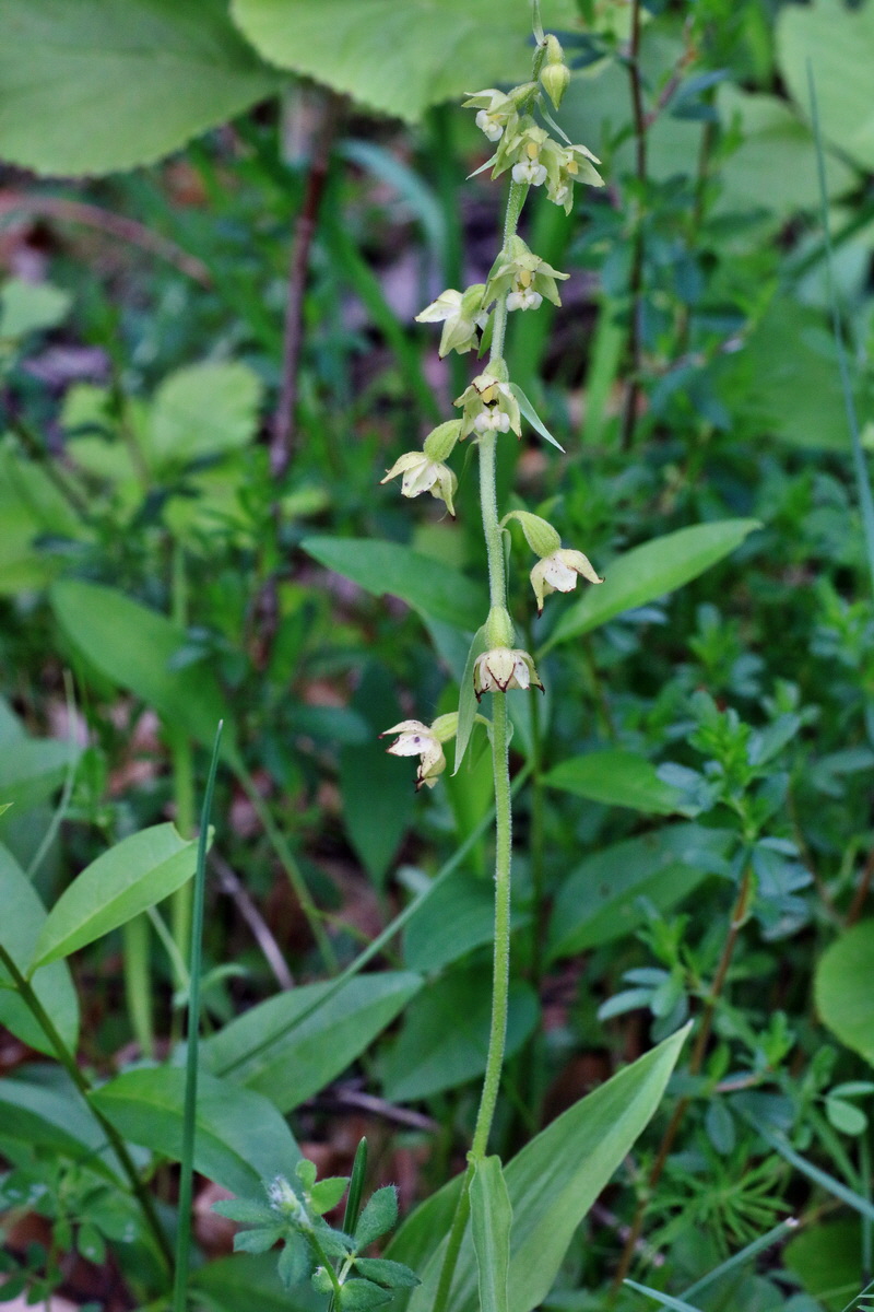 IMG-2016-06-18-00019932p_Bildgr��e �ndern