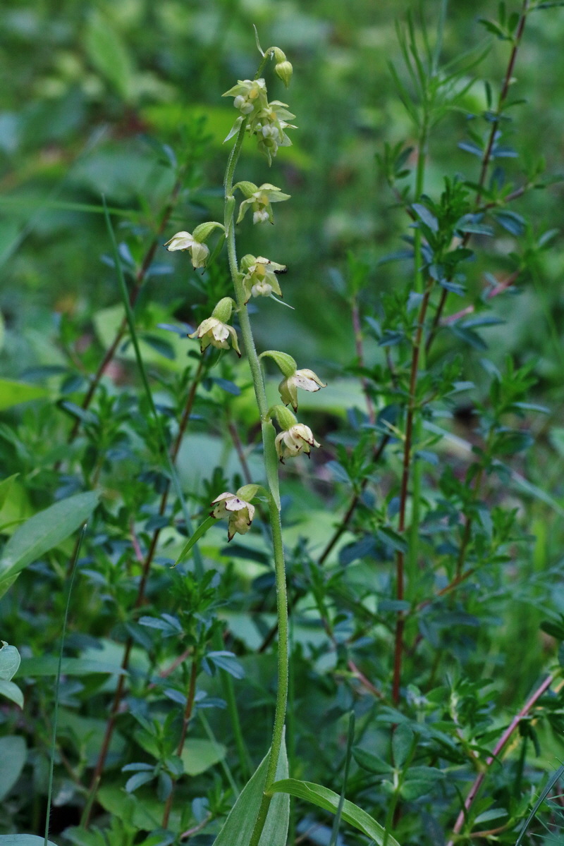 IMG-2016-06-18-00019939p_Bildgr��e �ndern