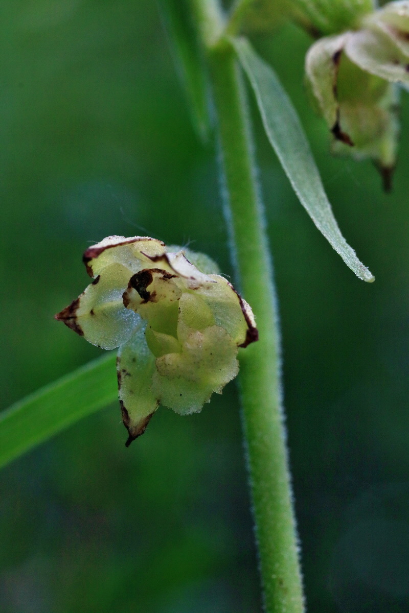 IMG-2016-06-18-00019942p_Bildgr��e �ndern