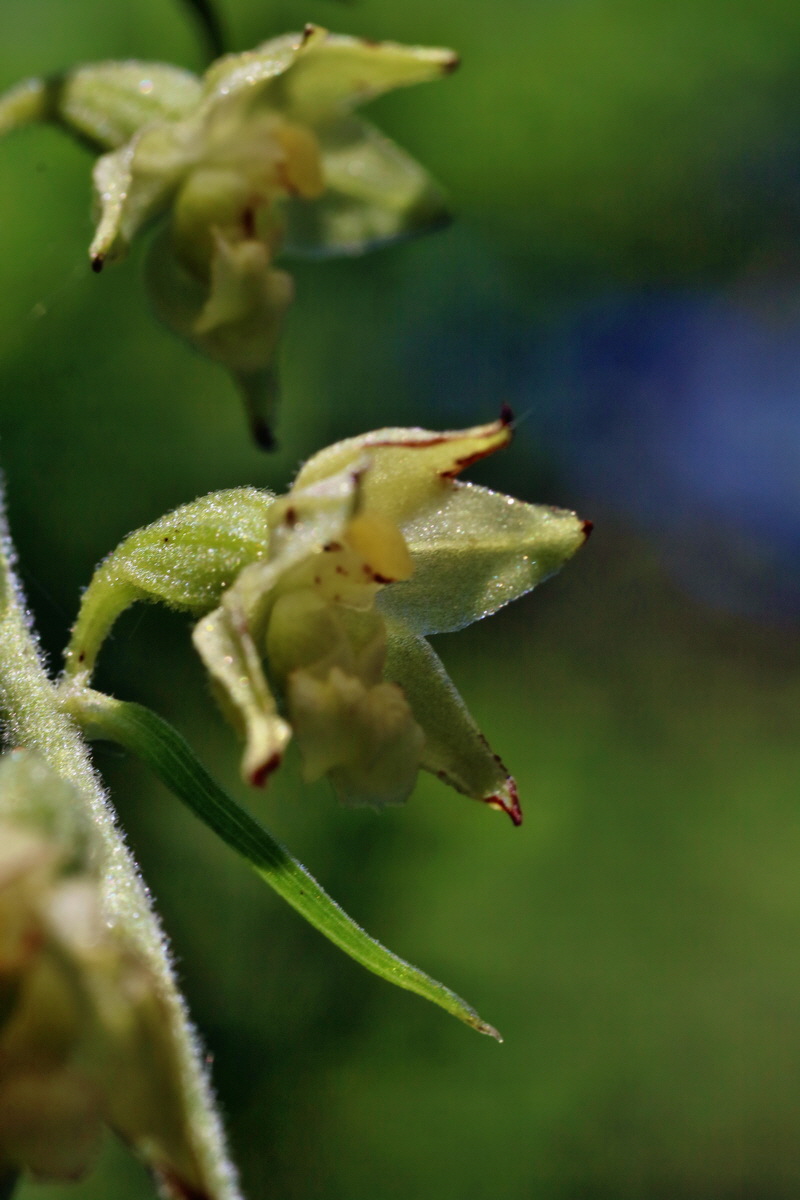 IMG-2016-06-18-00019945p_Bildgr��e �ndern