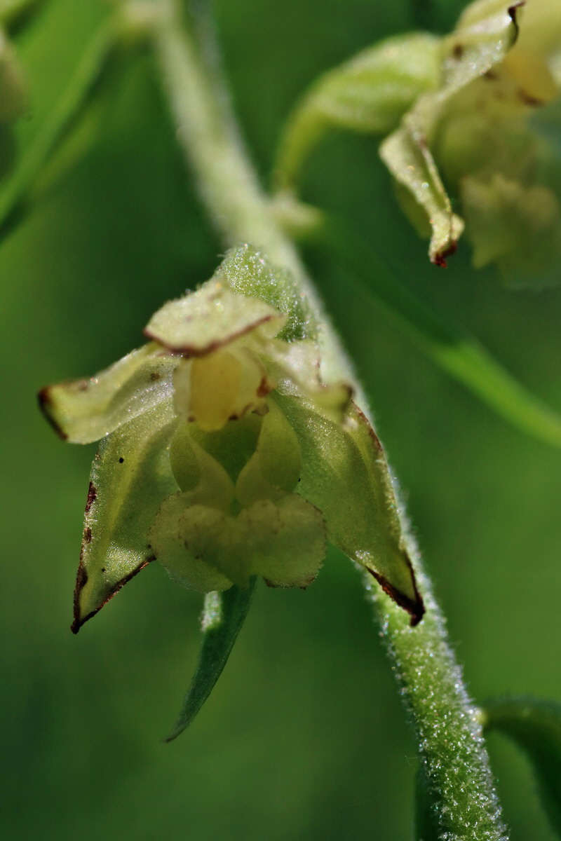 IMG-2016-06-18-00019948p_Bildgr��e �ndern