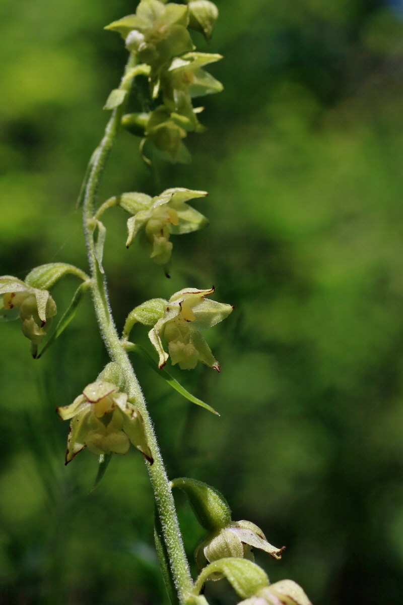 IMG-2016-06-18-00019953p_Bildgr��e �ndern