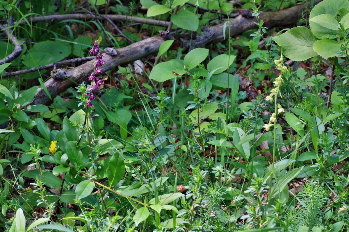 IMG-2016-06-18-00019956p_Bildgr��e �ndern