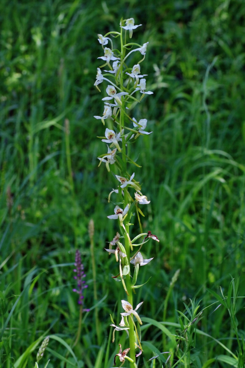 IMG-2016-06-18-00019972p_Bildgr��e �ndern