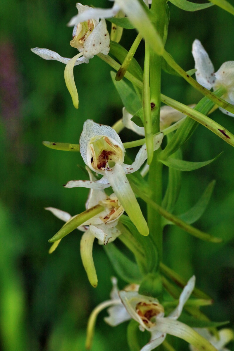 IMG-2016-06-18-00019977p_Bildgr��e �ndern