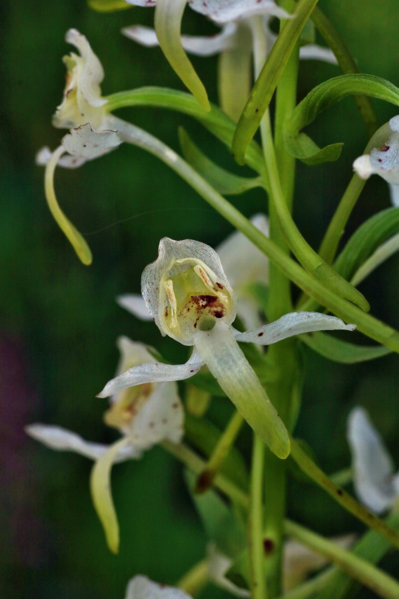 IMG-2016-06-18-00019981p_Bildgr��e �ndern