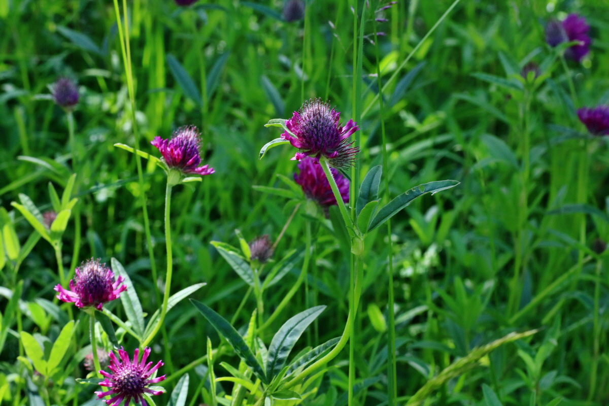 IMG-2016-06-18-00019989p_Bildgr��e �ndern