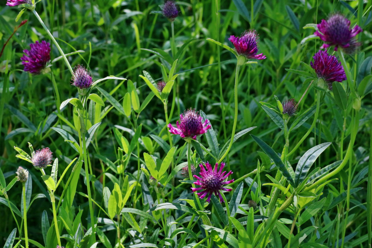 IMG-2016-06-18-00019991p_Bildgr��e �ndern