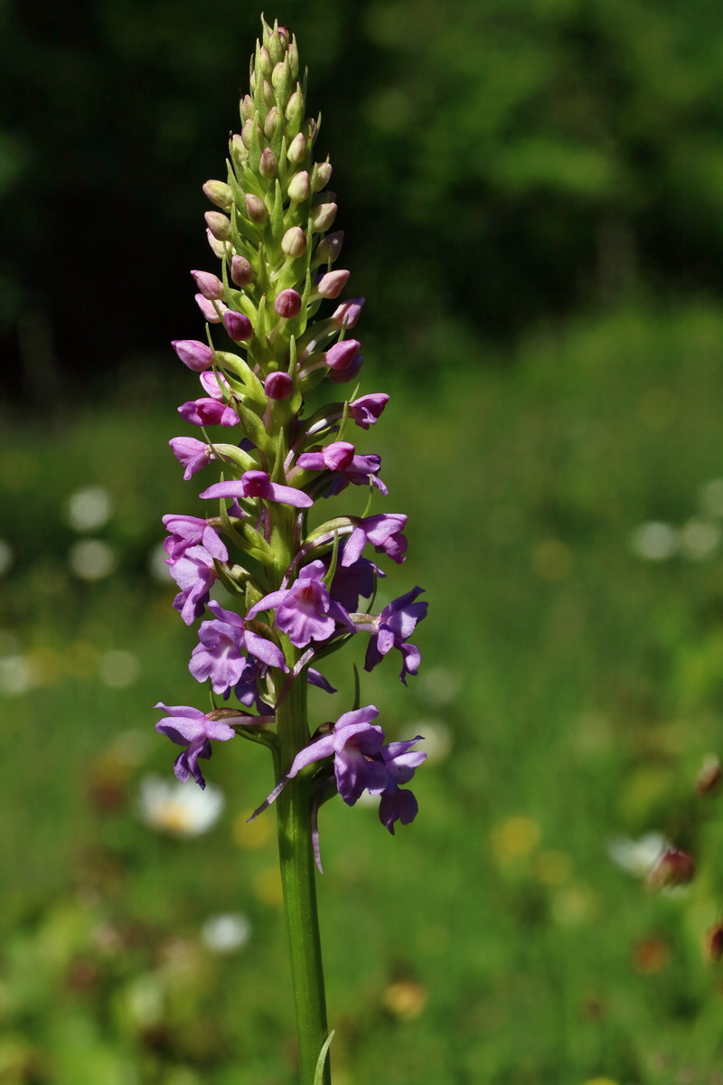 IMG-2016-06-18-00019992p_Bildgr��e �ndern