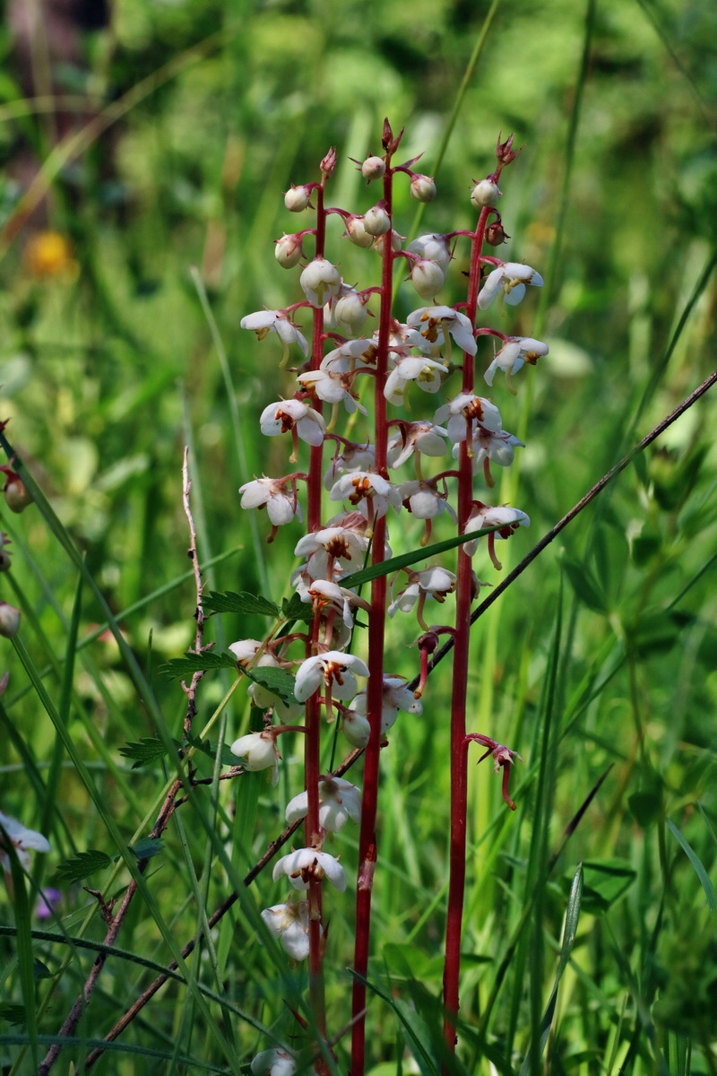 IMG-2016-06-18-00020014p_Bildgr��e �ndern