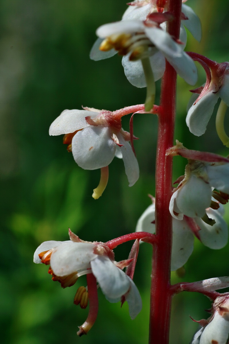 IMG-2016-06-18-00020017p_Bildgr��e �ndern