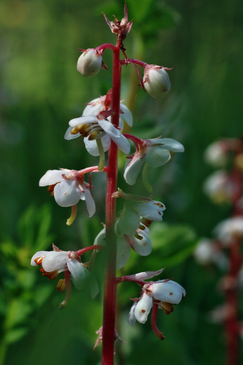 IMG-2016-06-18-00020019p_Bildgr��e �ndern