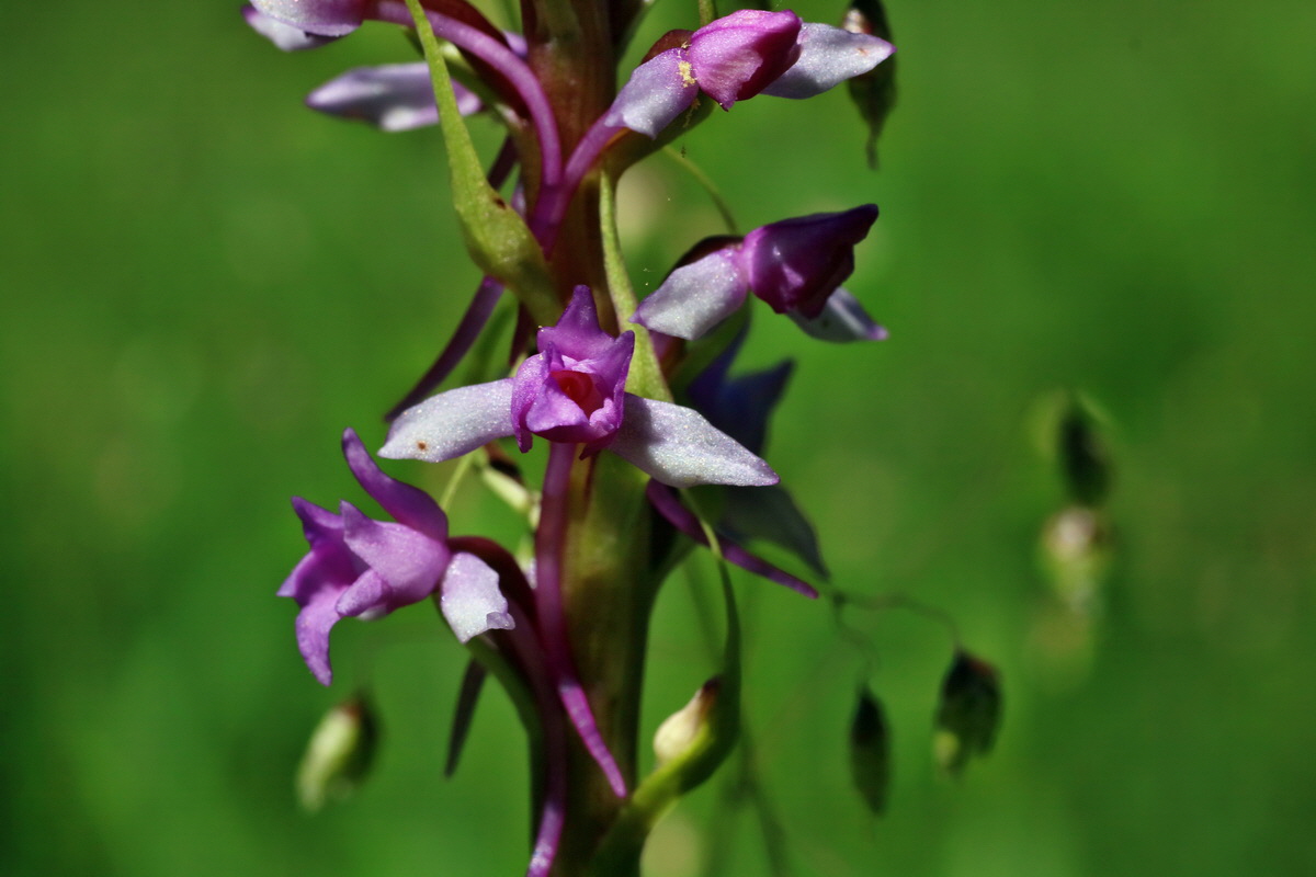 IMG-2016-06-18-00020023p_Bildgr��e �ndern